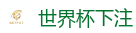 2026 FIFA 世界杯(下注)官方中文站